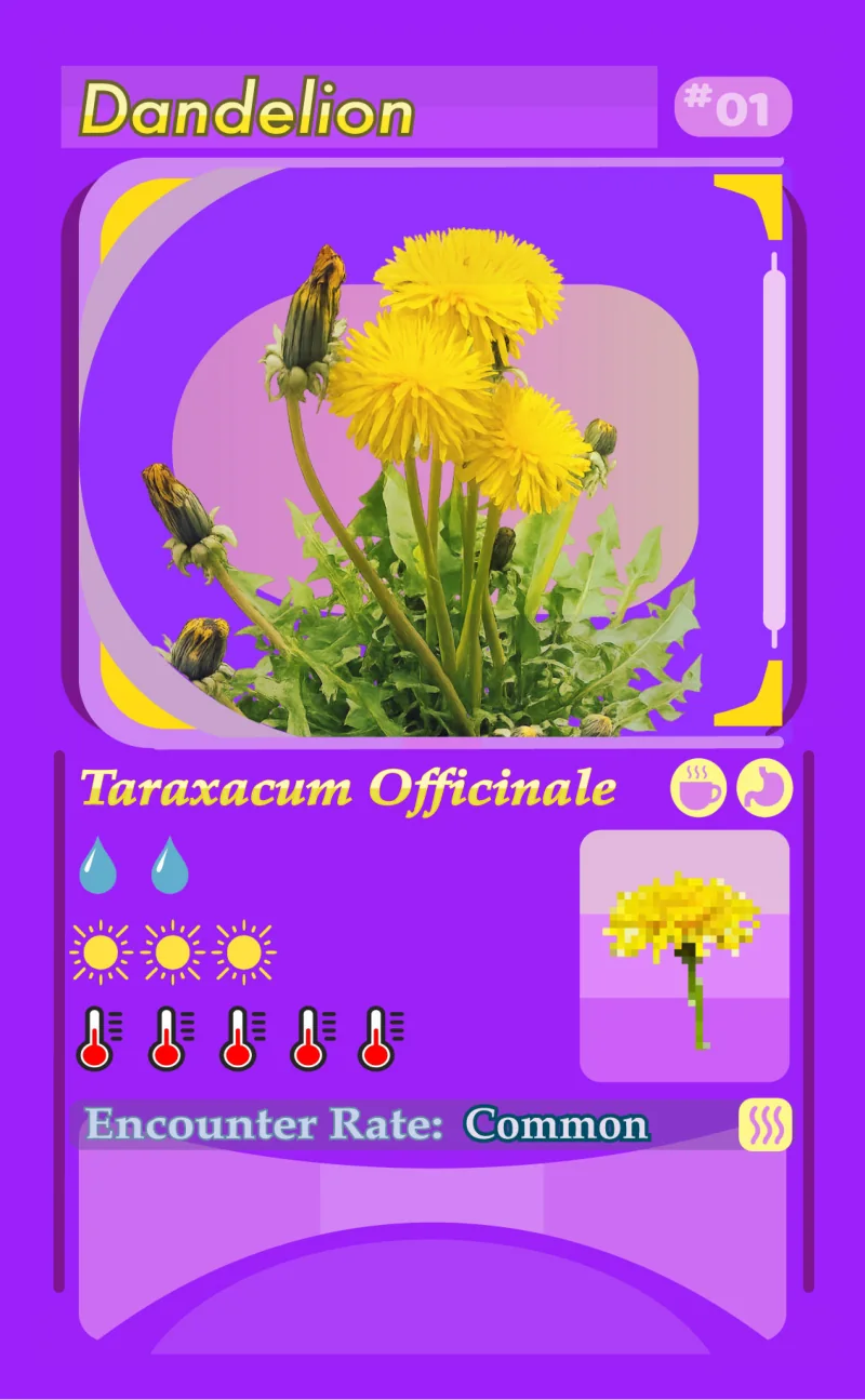 The front of the Dandelion card