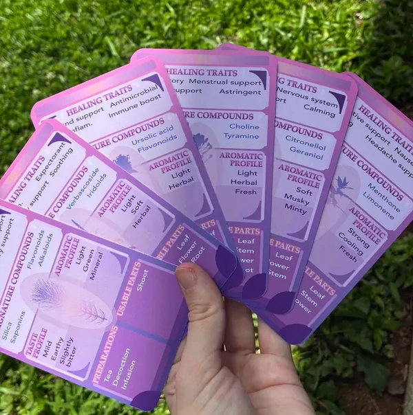 Five cards fanned with their backs showing, each printed with healing traits, signature compounds, taste and aromatic profiles, preparations and usable parts.